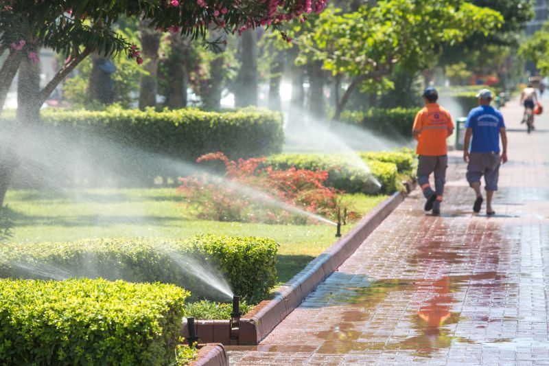 Local Perennial Watering pros at work