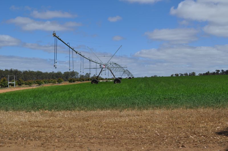Crop Irrigation Installation in Ventura County, CA