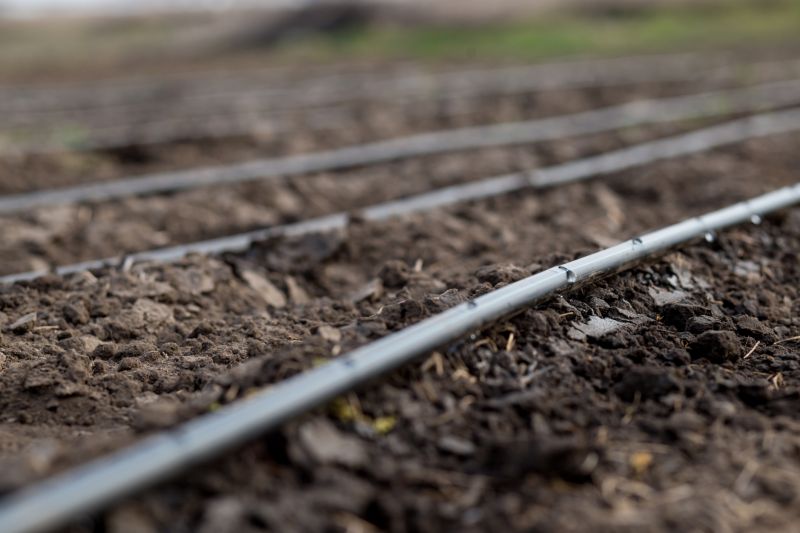 Crop Irrigation Installation in Aiken, SC