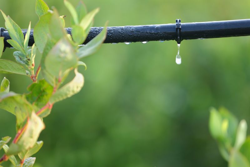 Drip Irrigation Installation in Ventura County, CA