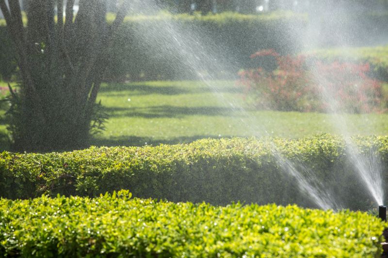 Perennial Watering detail