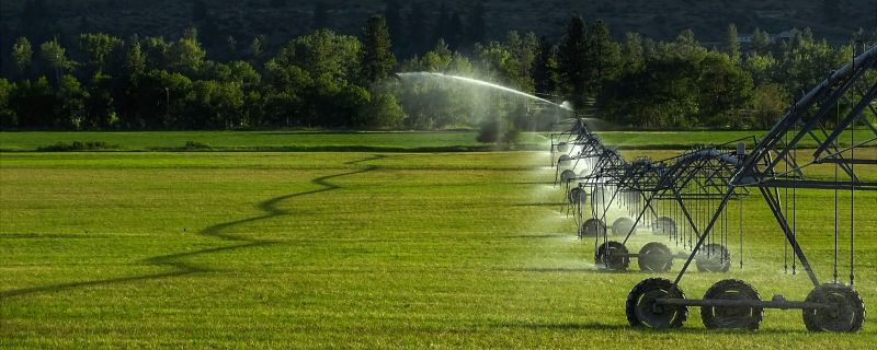 Irrigation System Replacement in Honolulu, HI
