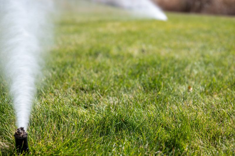Irrigation Winterization in Carson City, NV