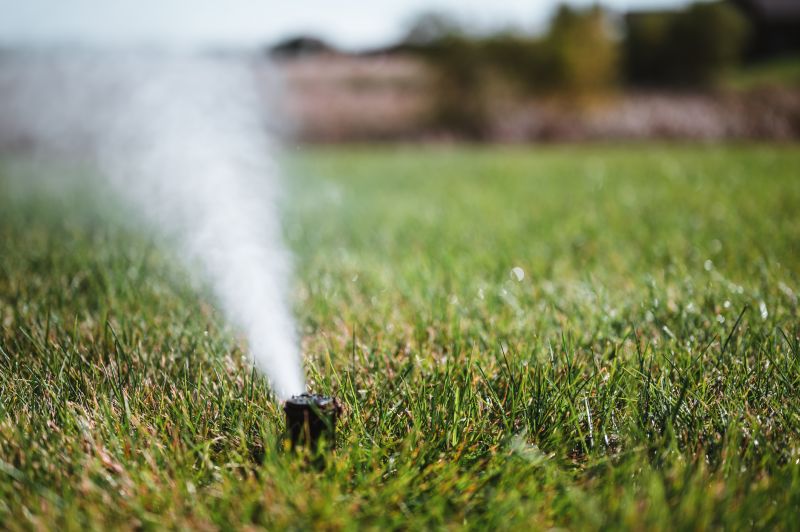 Sprinkler Blowout Service in Reno, NV