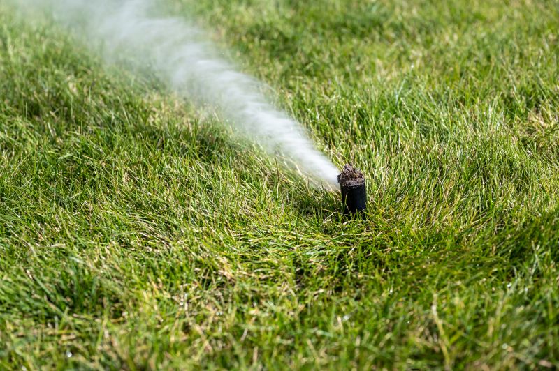 Sprinkler Blowout Service in Ventura County, CA