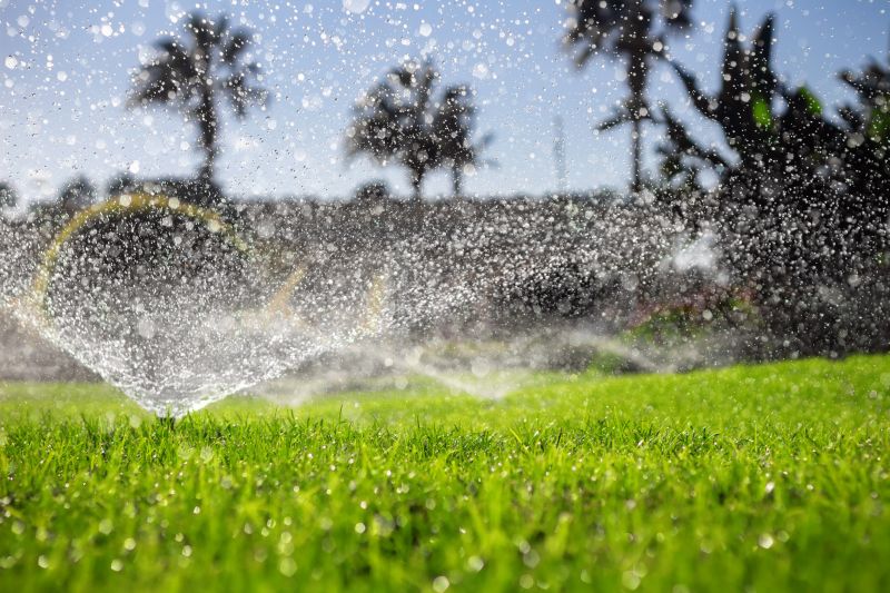 Sprinkler System Optimization in Aiken, SC
