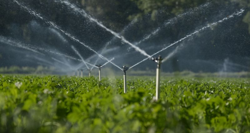 Sprinkler System Optimization in Ventura County, CA