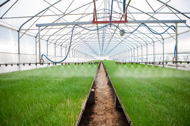 Watering System Installation in Ventura County, CA